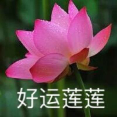 召唤与合成华为手游下载